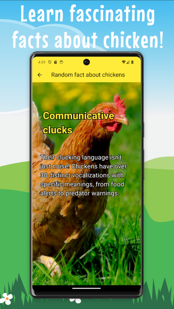 Learn fascinating facts about chicken!